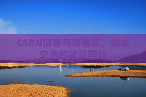 CSDN博客与博客园,技术交流的繁荣园地
